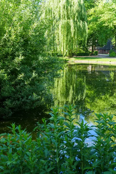 Westphalia 'daki eski çiftlik evi.