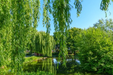 Westphalia 'daki eski çiftlik evi.