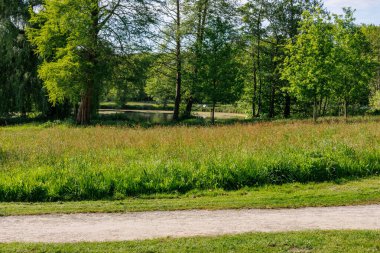 Alman Muensterland 'inde bir gölde bahar akşamı