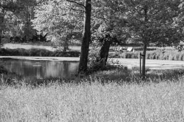 Alman Muensterland 'inde bir gölde bahar akşamı