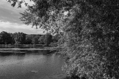 Alman Muensterland 'inde bir gölde bahar akşamı