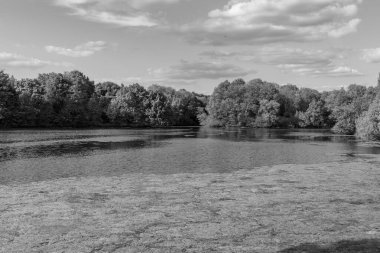 Alman Muensterland 'inde bir gölde bahar akşamı