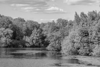 Alman Muensterland 'inde bir gölde bahar akşamı