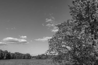 Alman Muensterland 'inde bir gölde bahar akşamı
