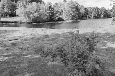 Alman Muensterland 'inde bir gölde bahar akşamı