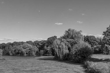 Alman Muensterland 'inde bir gölde bahar akşamı
