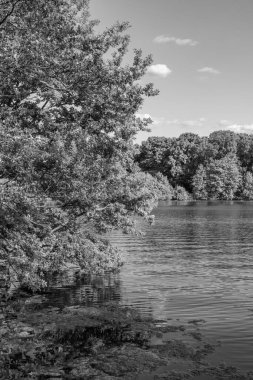 Westphalia 'daki eski çiftlik evi.