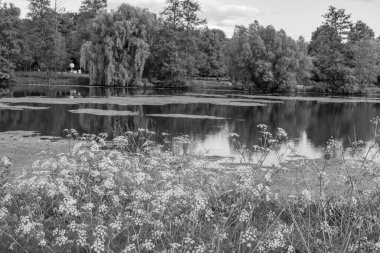 Borken yakınlarındaki Alman Muensterland 'inde güzel göller