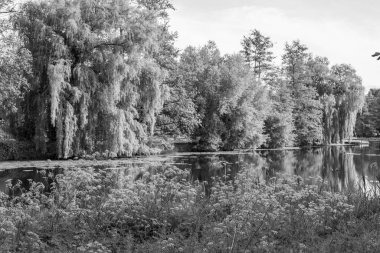 Borken yakınlarındaki Alman Muensterland 'inde güzel göller