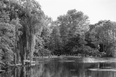 Borken yakınlarındaki Alman Muensterland 'inde güzel göller