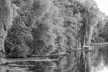 Borken yakınlarındaki Alman Muensterland 'inde güzel göller