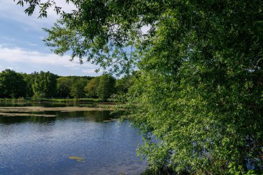 Borken yakınlarındaki Alman Muensterland 'inde güzel göller