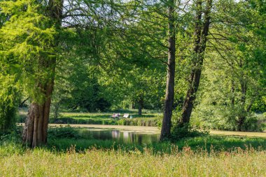 Borken yakınlarındaki Alman Muensterland 'inde güzel göller