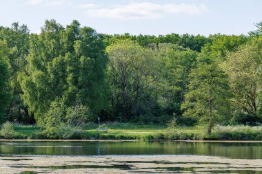 Borken yakınlarındaki Alman Muensterland 'inde güzel göller