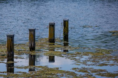 Borken yakınlarındaki Alman Muensterland 'inde güzel göller