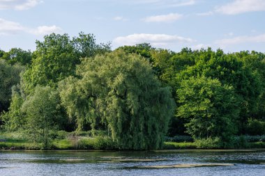 Borken yakınlarındaki Alman Muensterland 'inde güzel göller
