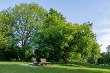 Borken yakınlarındaki Alman Muensterland 'inde güzel göller