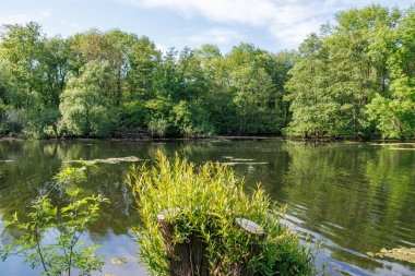 Borken yakınlarındaki Alman Muensterland 'inde güzel göller