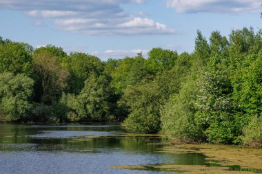 Borken yakınlarındaki Alman Muensterland 'inde güzel göller