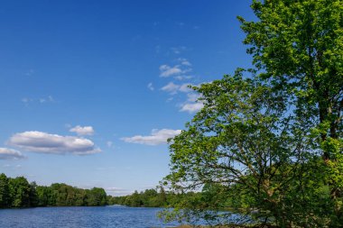 Borken yakınlarındaki Alman Muensterland 'inde güzel göller