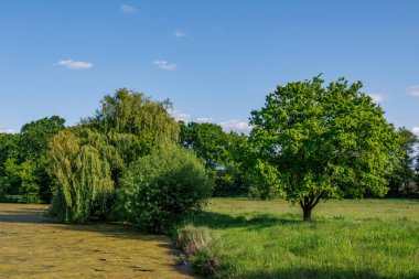 Borken yakınlarındaki Alman Muensterland 'inde güzel göller