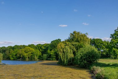 Borken yakınlarındaki Alman Muensterland 'inde güzel göller