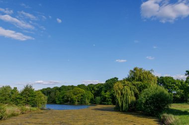 Borken yakınlarındaki Alman Muensterland 'inde güzel göller