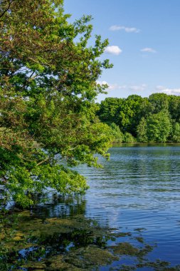 Borken yakınlarındaki Alman Muensterland 'inde güzel göller