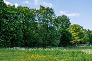 Borken yakınlarındaki Alman Muensterland 'inde güzel göller