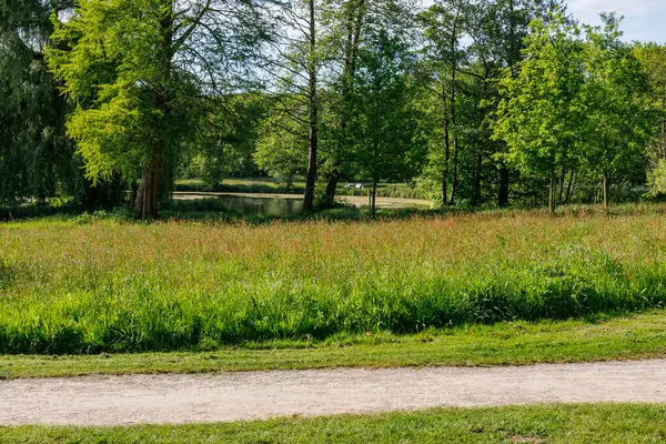 Alman Muensterland 'inde bir gölde bahar akşamı
