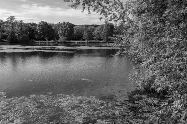 Alman Muensterland 'inde bir gölde bahar akşamı