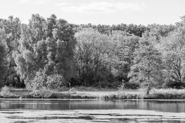 Alman Muensterland 'inde bir gölde bahar akşamı