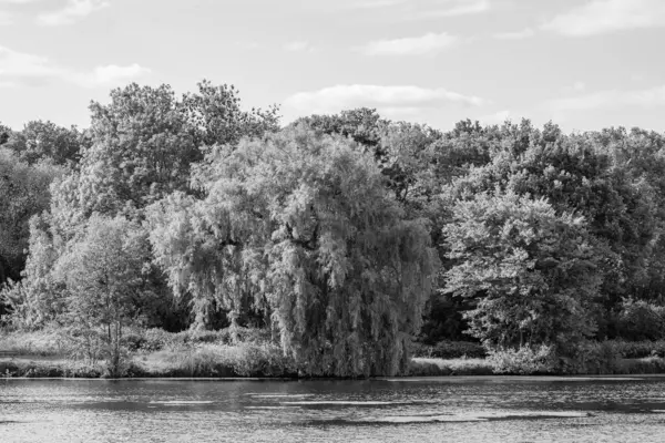Alman Muensterland 'inde bir gölde bahar akşamı