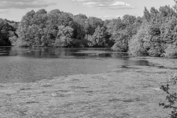 Alman Muensterland 'inde bir gölde bahar akşamı