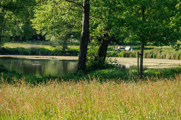 Borken yakınlarındaki Alman Muensterland 'inde güzel göller