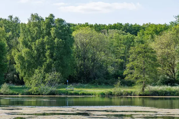 Borken yakınlarındaki Alman Muensterland 'inde güzel göller