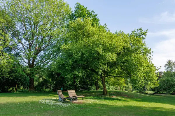 Borken yakınlarındaki Alman Muensterland 'inde güzel göller