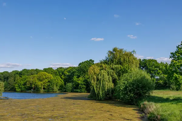 Borken yakınlarındaki Alman Muensterland 'inde güzel göller