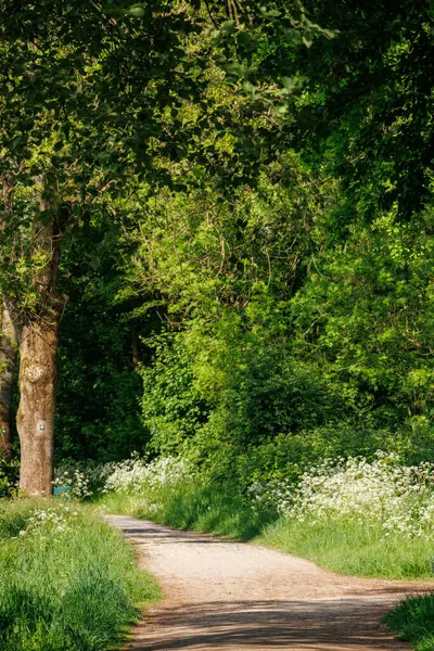 Borken yakınlarındaki Alman Muensterland 'inde güzel göller