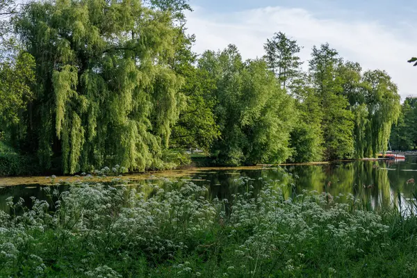 Borken yakınlarındaki Alman Muensterland 'inde güzel göller