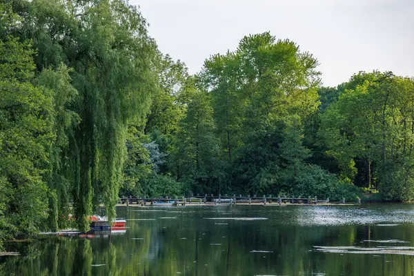 Borken yakınlarındaki Alman Muensterland 'inde güzel göller
