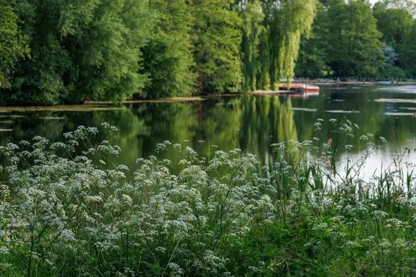 Borken yakınlarındaki Alman Muensterland 'inde güzel göller