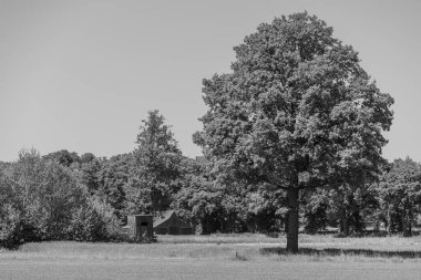 Alman muensterland 'inde güneşli bir gün