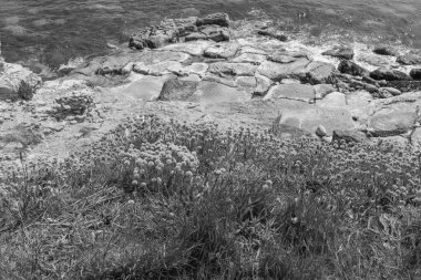 İngiltere 'nin Jurassic Sahili' ndeki Porrland Adası.