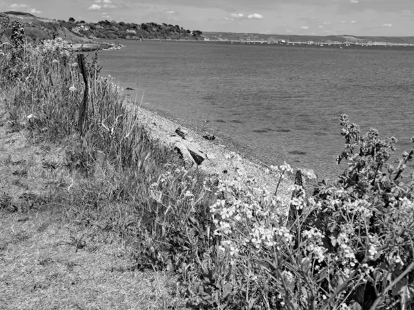 İngiliz Kanalı ve Bisküvi 'de gemi yolculuğu.