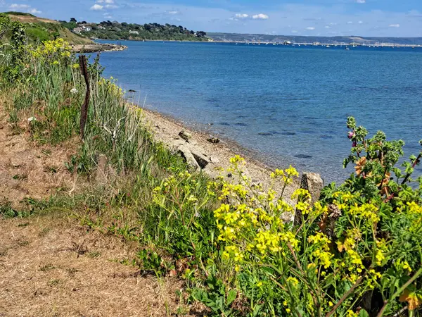 İngiliz Kanalı ve Bisküvi 'de gemi yolculuğu.