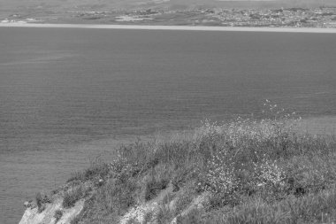 İngiltere 'deki Jurassic Sahili' nde