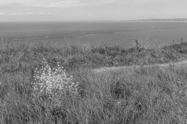 İngiltere 'deki Jurassic Sahili' nde