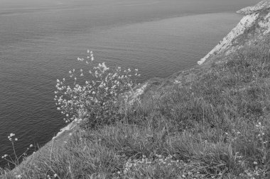 İngiltere 'deki Jurassic Sahili' nde