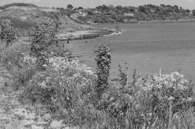 İngiltere 'deki Jurassic Sahili' nde